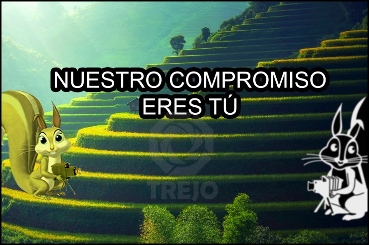 Compromiso Cultura Empresarial